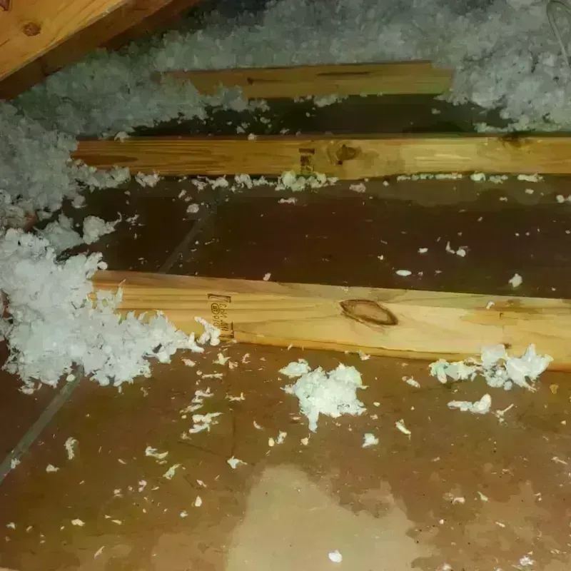 Attic Water Damage in North Adams, MA